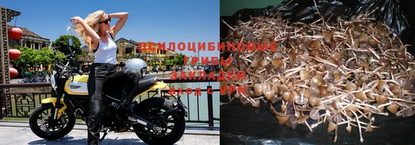 apvp Покачи