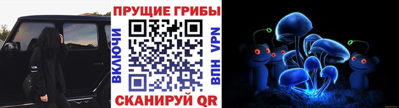 Купить закладки  Коркино  Псилоцибиновые грибы прущие грибы 